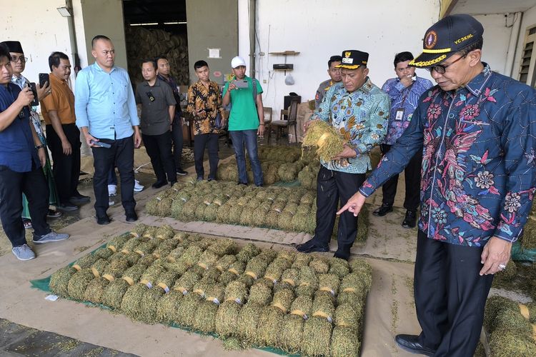 Bupati Pamekasan mengecek harga dan sampel tembakau di Gudang Tembakau, Minggu (14/9/2025)