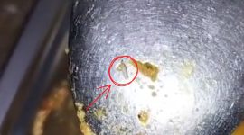 Tangkapan layar video yang memperlihatkan belatung diduga ditemukan dalam menu makan siang siswa, diduga berasal dari program Makan Bergizi Gratis (MBG) di Pamekasan.