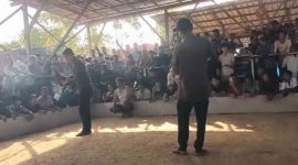 Aktivitas judi sabung ayam di Dusun Panjelin, Sokobanah Daya, terlihat ramai meski berada tak jauh dari Mapolsek Sokobanah.