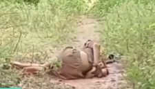 Kondisi korban saat pertama kali ditemukan warga dengan tangan terikat dan tubuh bersimbah darah.