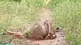 Kondisi korban saat pertama kali ditemukan warga dengan tangan terikat dan tubuh bersimbah darah.