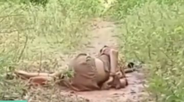 Kondisi korban saat pertama kali ditemukan warga dengan tangan terikat dan tubuh bersimbah darah.