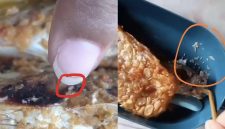 Tangkap layar, menu MBG untuk siswa di Waru Pamekasan banyak ulat dan bau tak enak