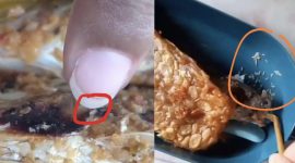 Tangkap layar, menu MBG untuk siswa di Waru Pamekasan banyak ulat dan bau tak enak